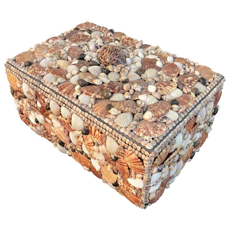 Vintage Jewelry Box Covered Pacific Seashell at 1stDibs