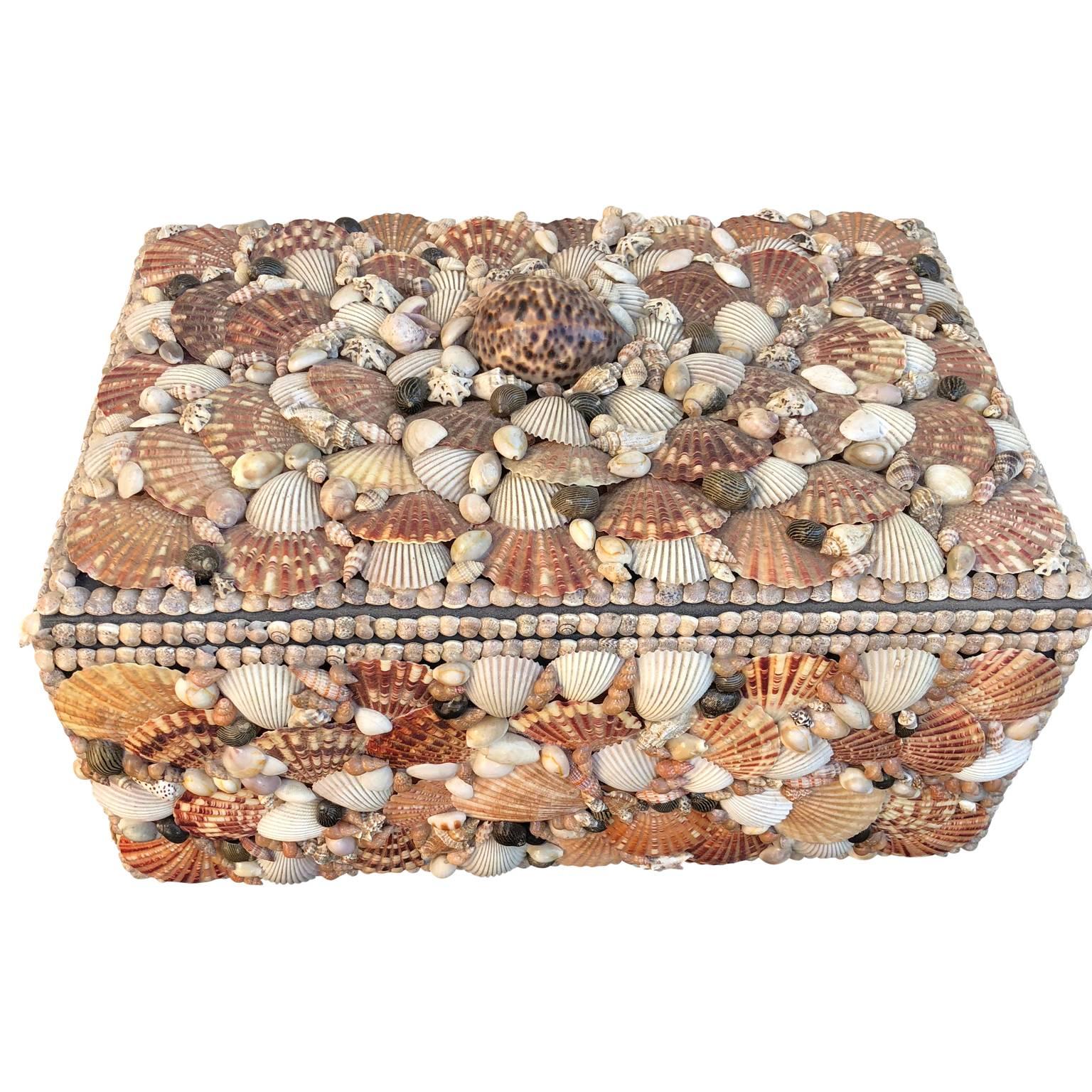 Vintage jewelry box covered pacific seashell.