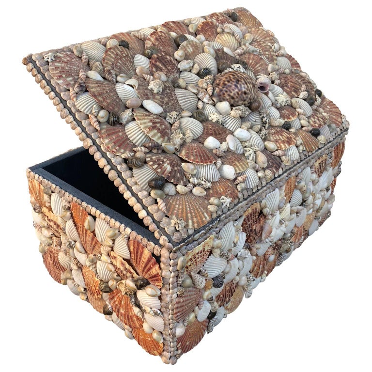 Vintage Jewelry Box Covered Pacific Seashell at 1stDibs