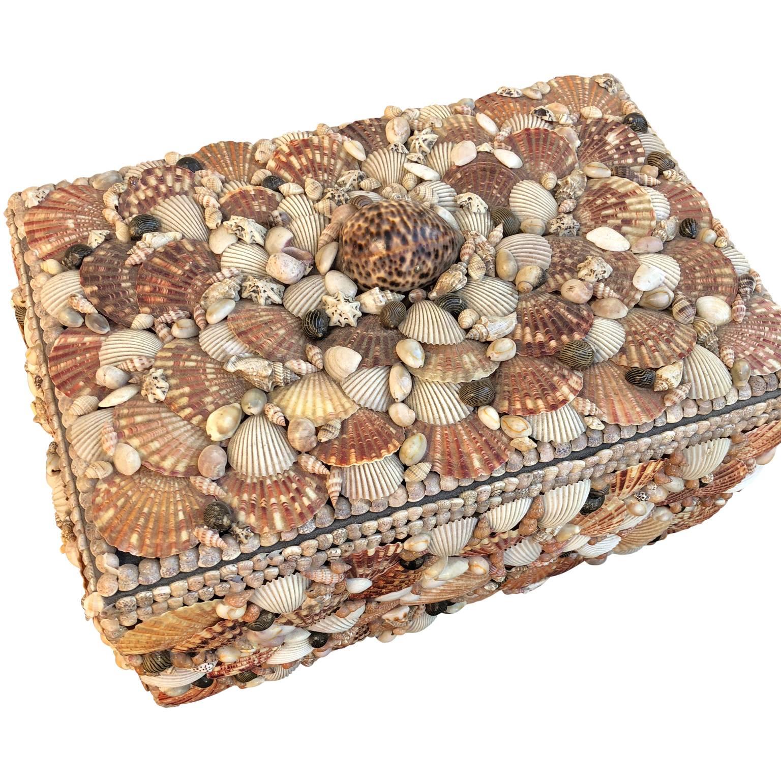 Shell Vintage Jewelry Box Covered Pacific Seashell
