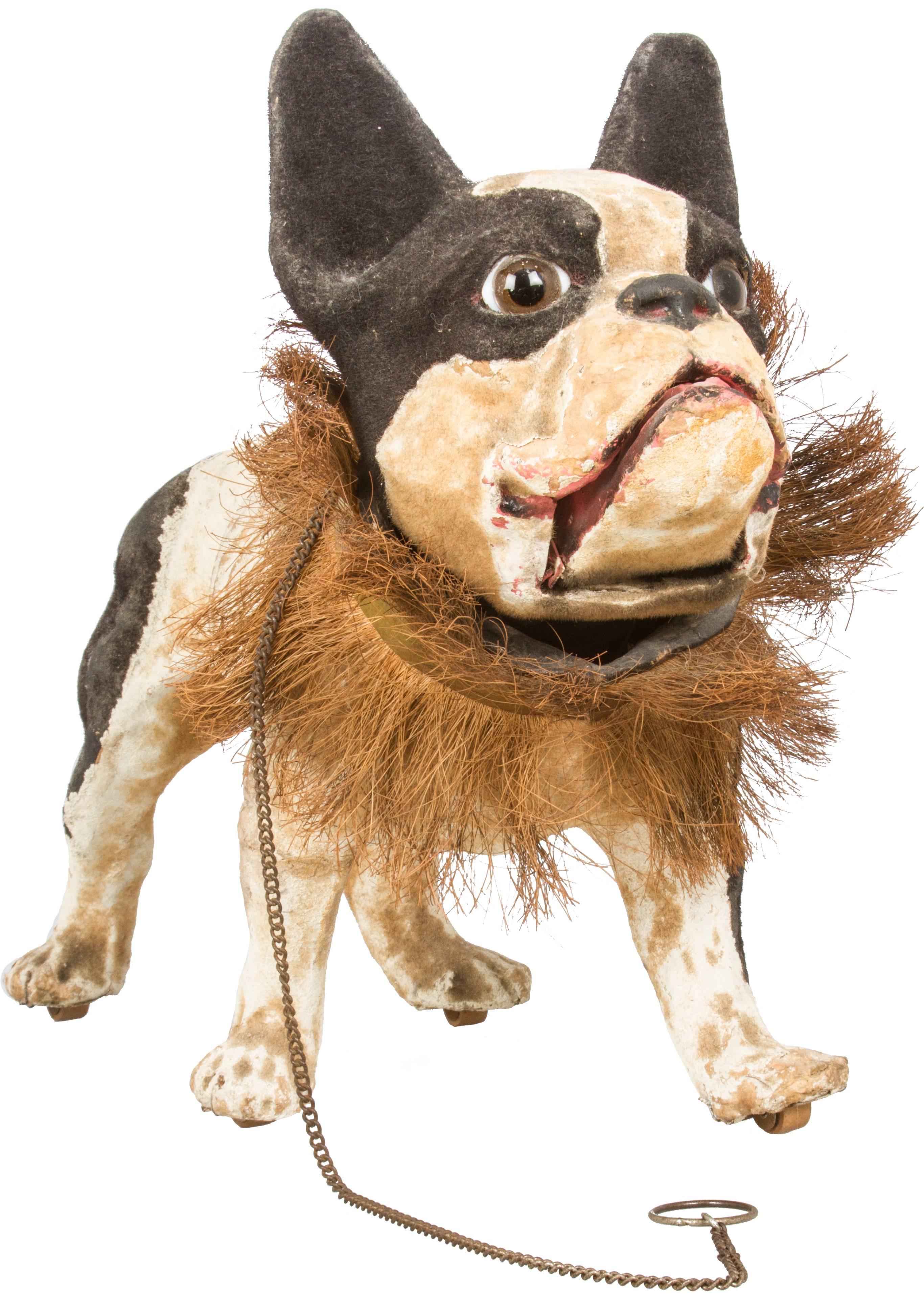 This handsome bulldog with a nodding head, has a collar made from coconut husks and an articulated jaw that opens when a chain that operates the growler mechanism is pulled. Also having wooden castors under the paws for movement.