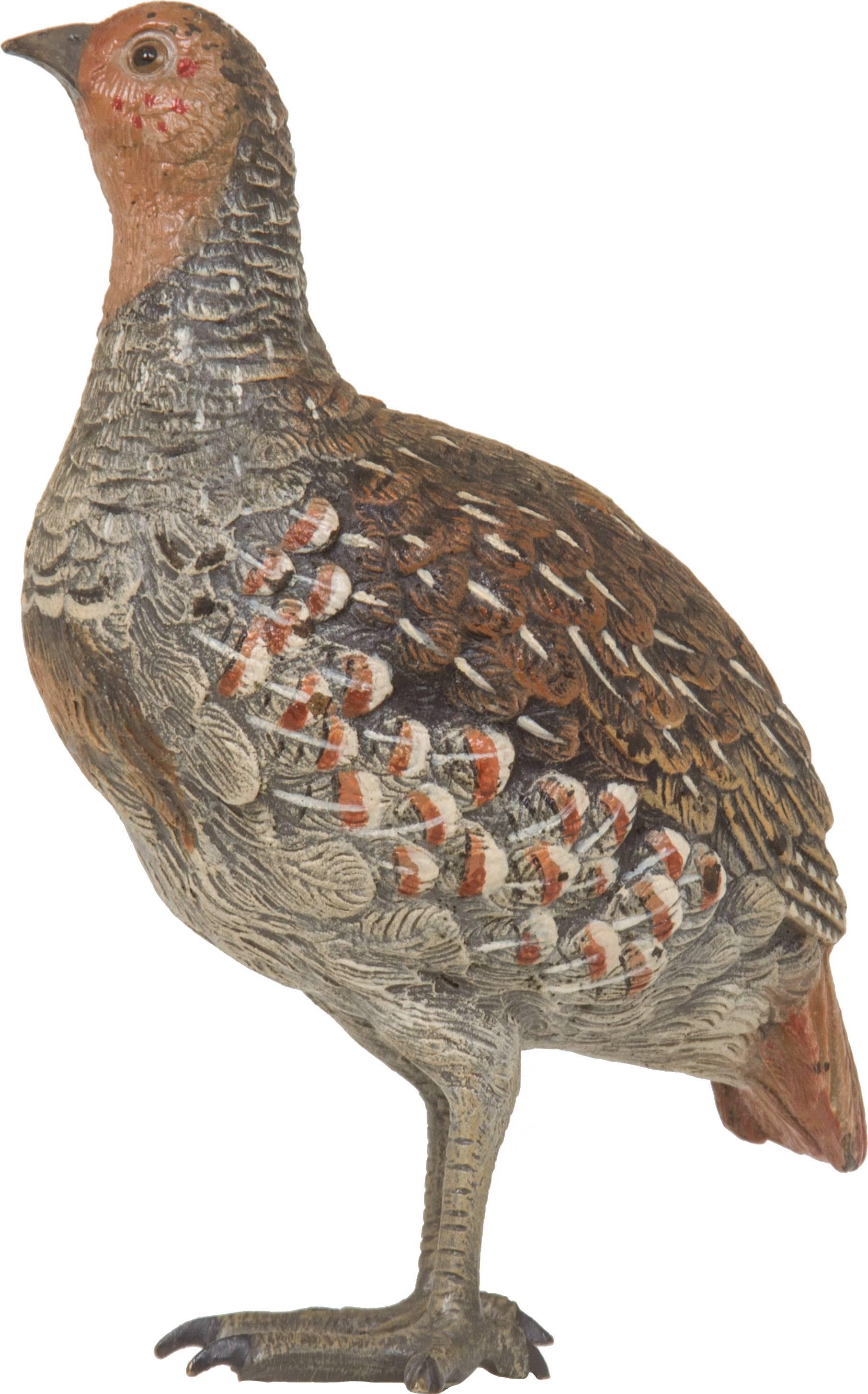 Early 20th Century Austrian Cold Painted Bronze Grouse