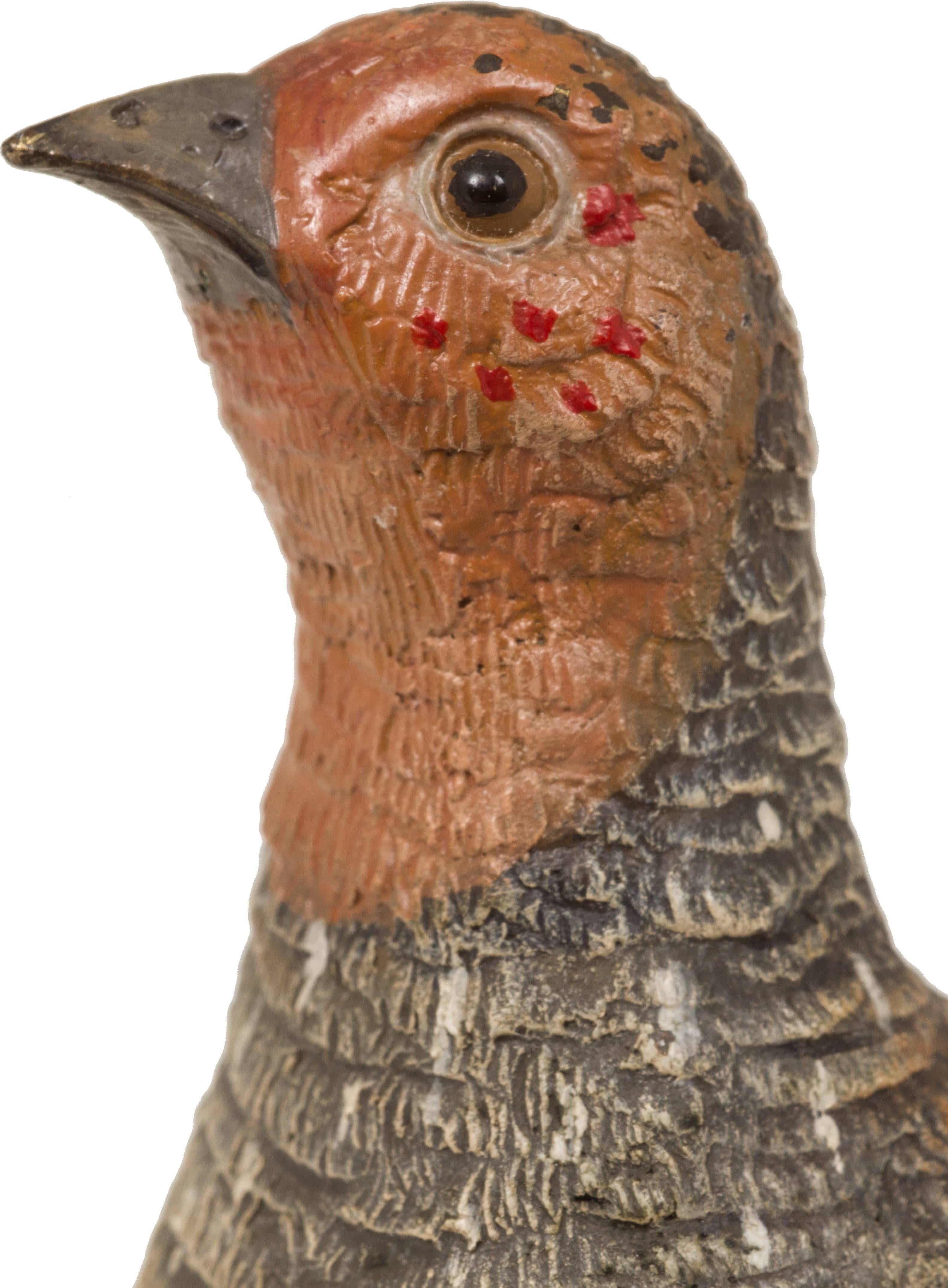 The detail on this piece is exceptional. The feathers are beautifully detailed and the bird has glass eyes.