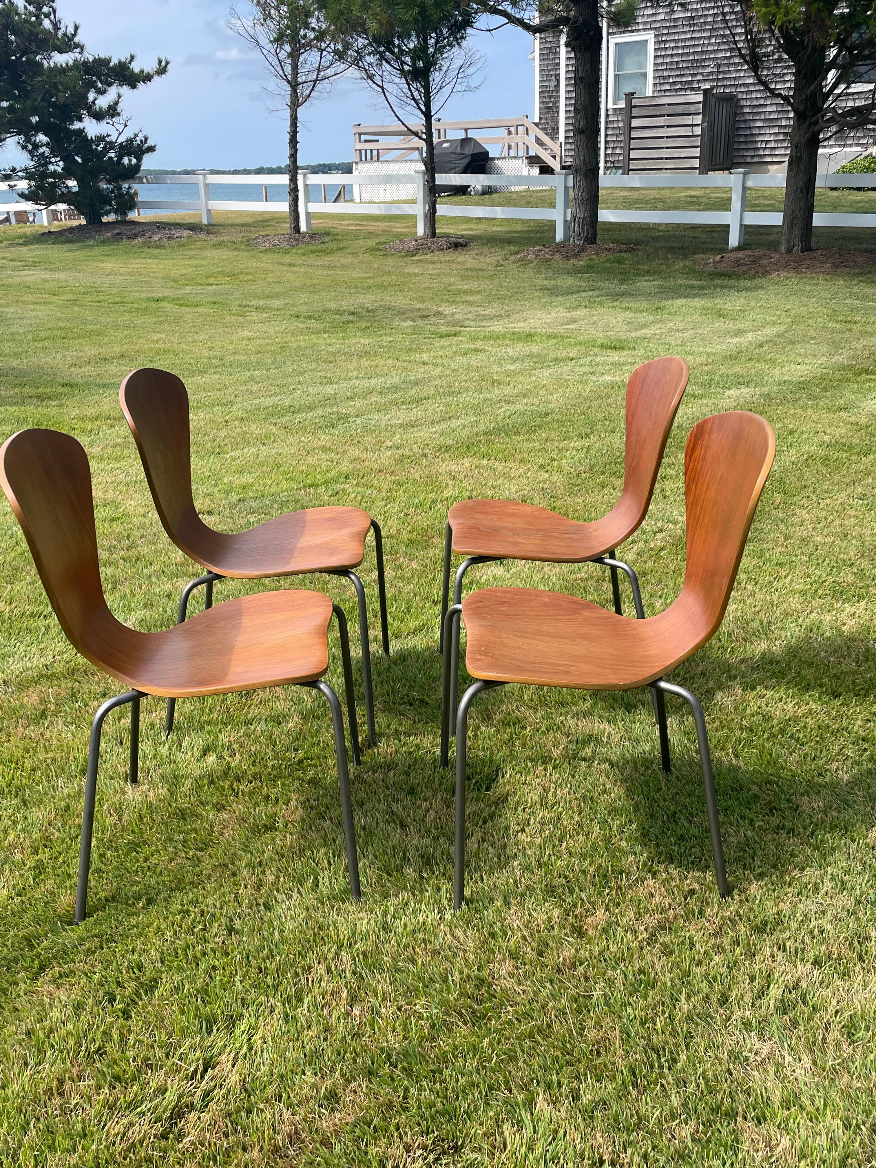 Mesa plegable de madera vintage con cuatro sillas de madera curvada al estilo de Arne Jacobsen en venta 7