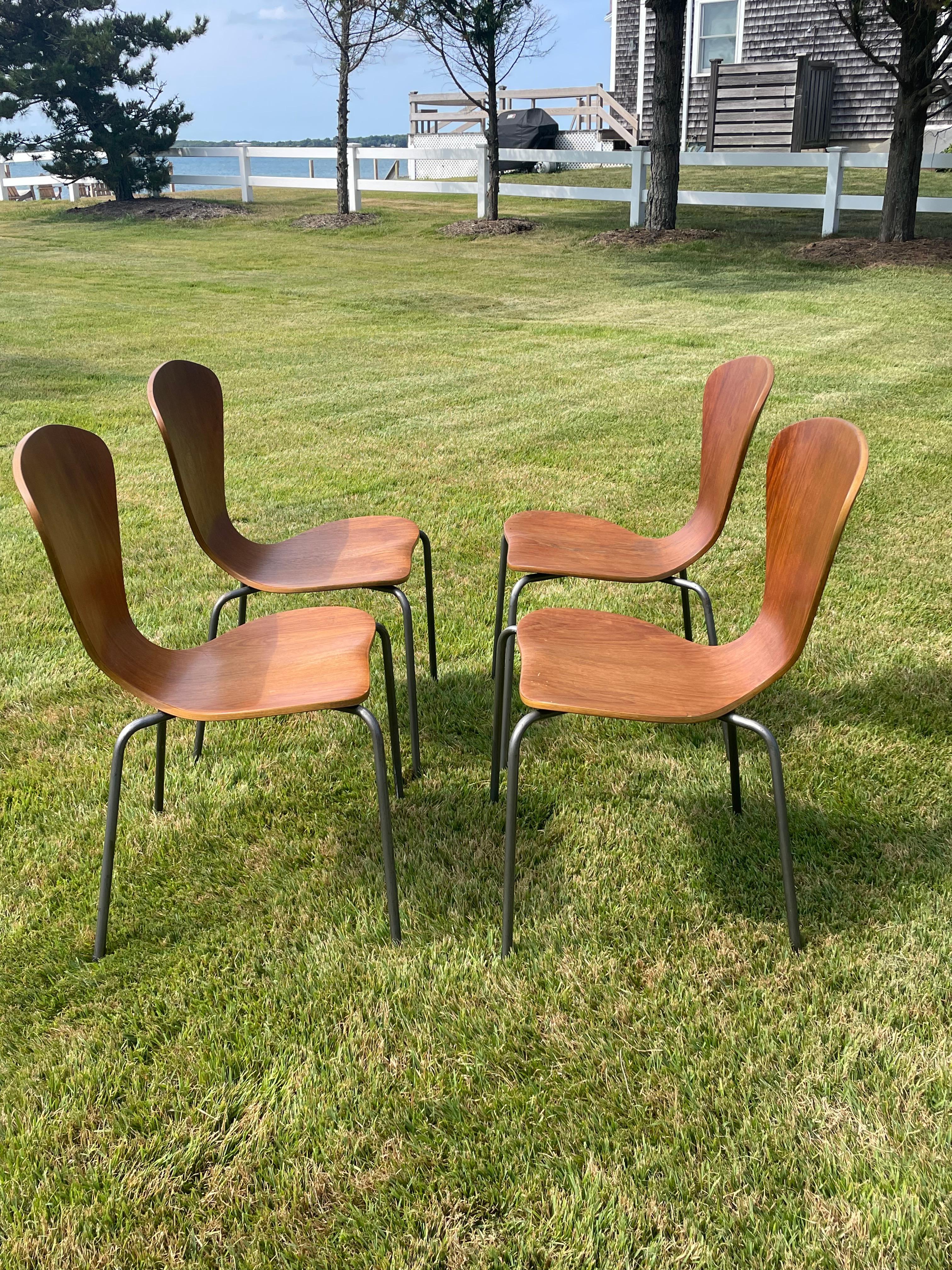 Mesa plegable de madera vintage con cuatro sillas de madera curvada al estilo de Arne Jacobsen en venta 9