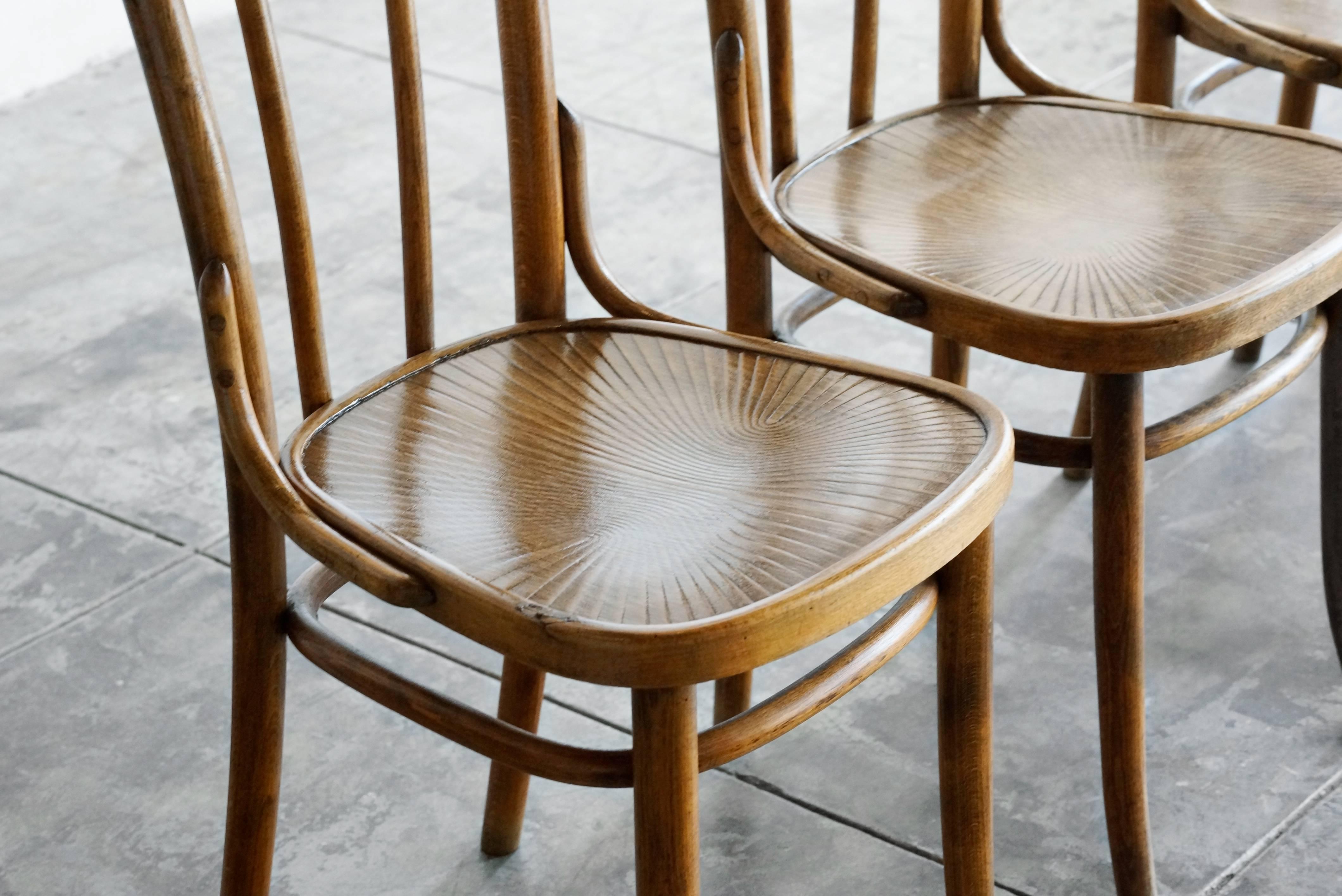 thonet cafe chairs