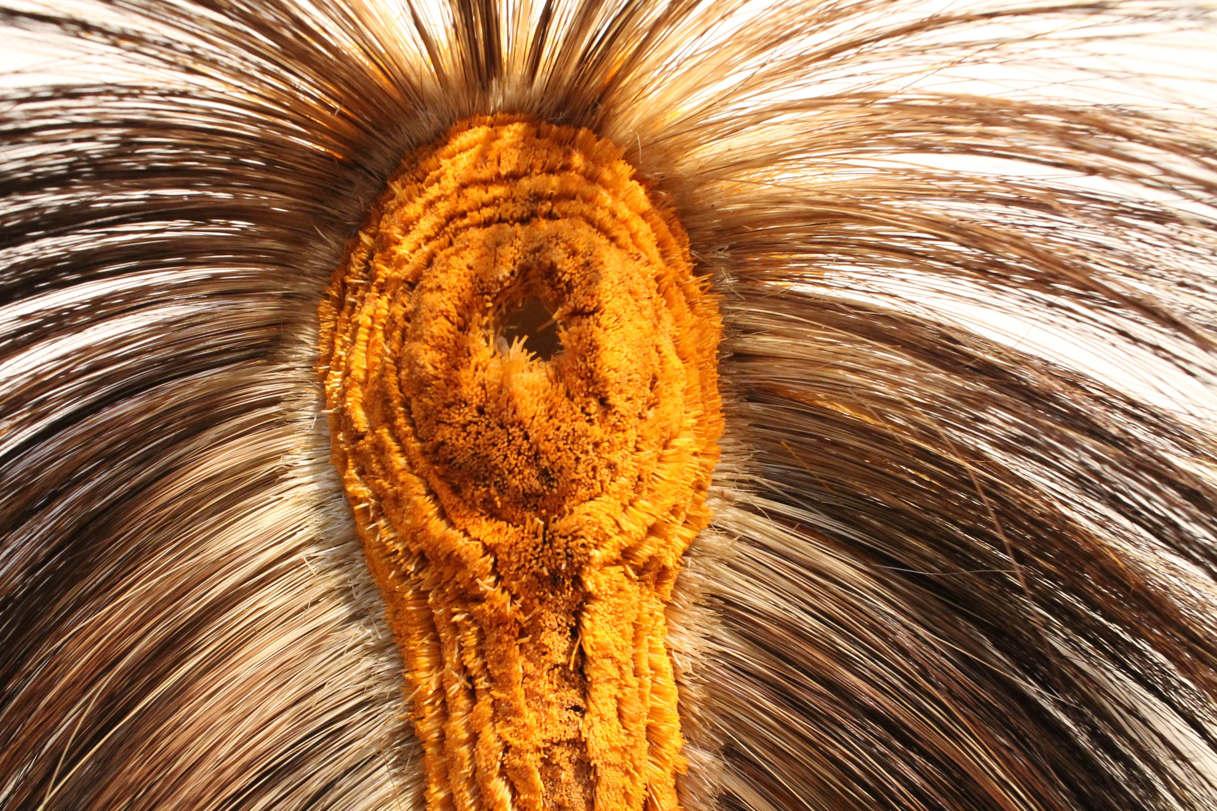 Iconic headdress symbol of the native Americans.
Woven with natural dye and porcupine hair.