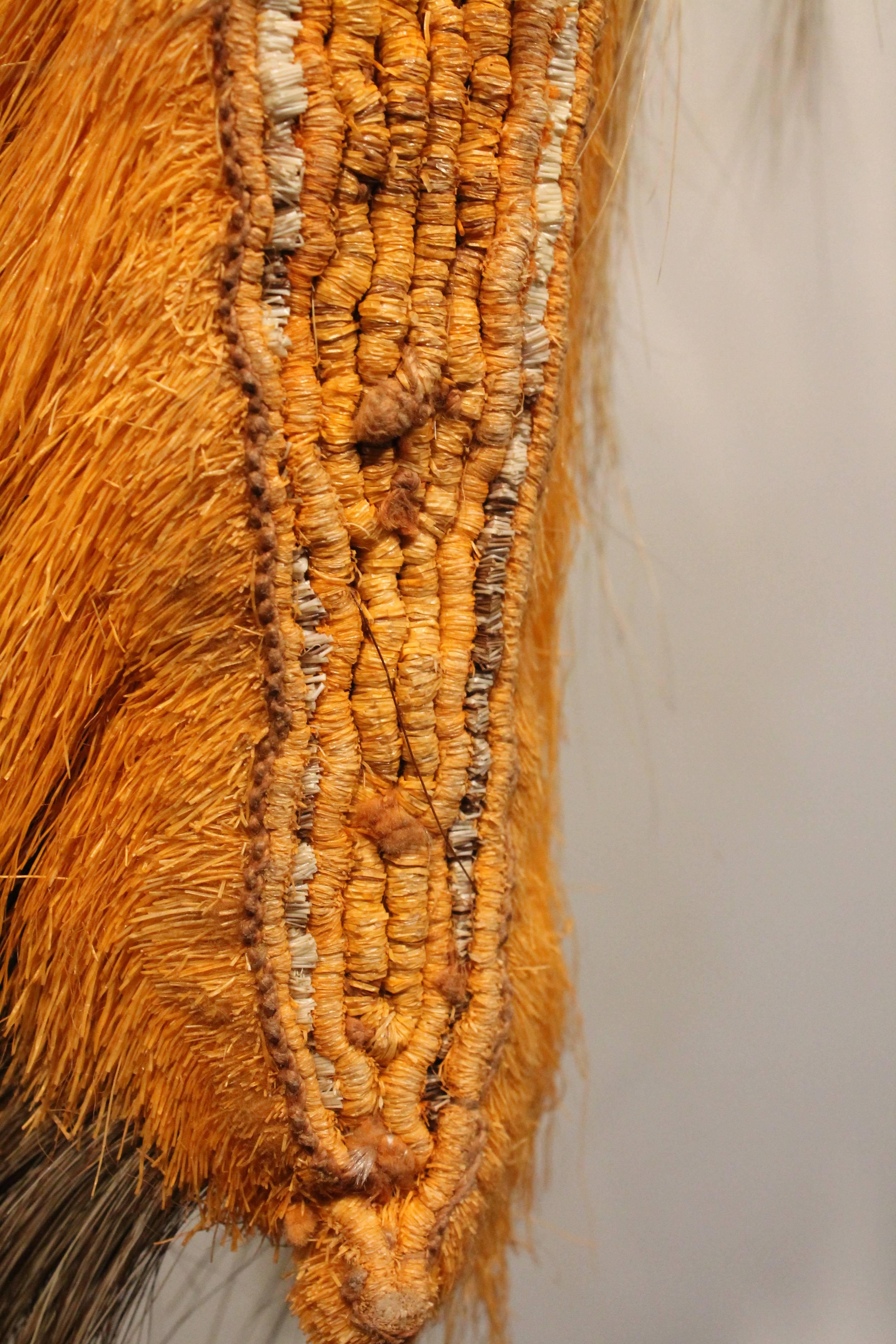 19th Century Native American Roach 7