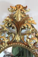19th Century French Rococo Elaborately Carved Gilt Dimensional Mirror