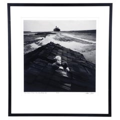 Fotografia incorniciata, in grande formato e in edizione limitata, intitolata “Flood Dream” di Arthur Tress