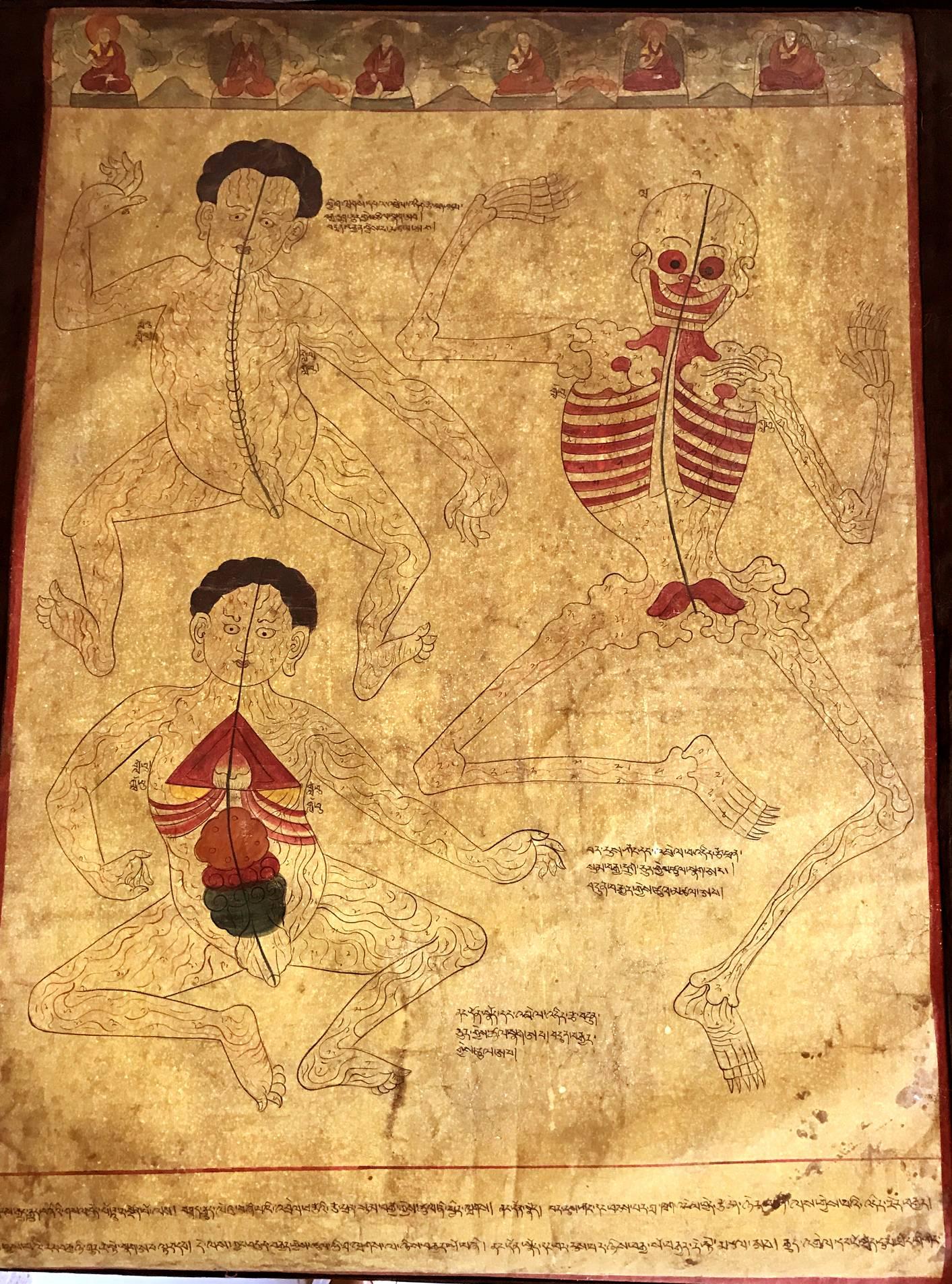 Tibetan Medicinal Thangkas Copies after the Blue Beryl, circa 20th Century 1