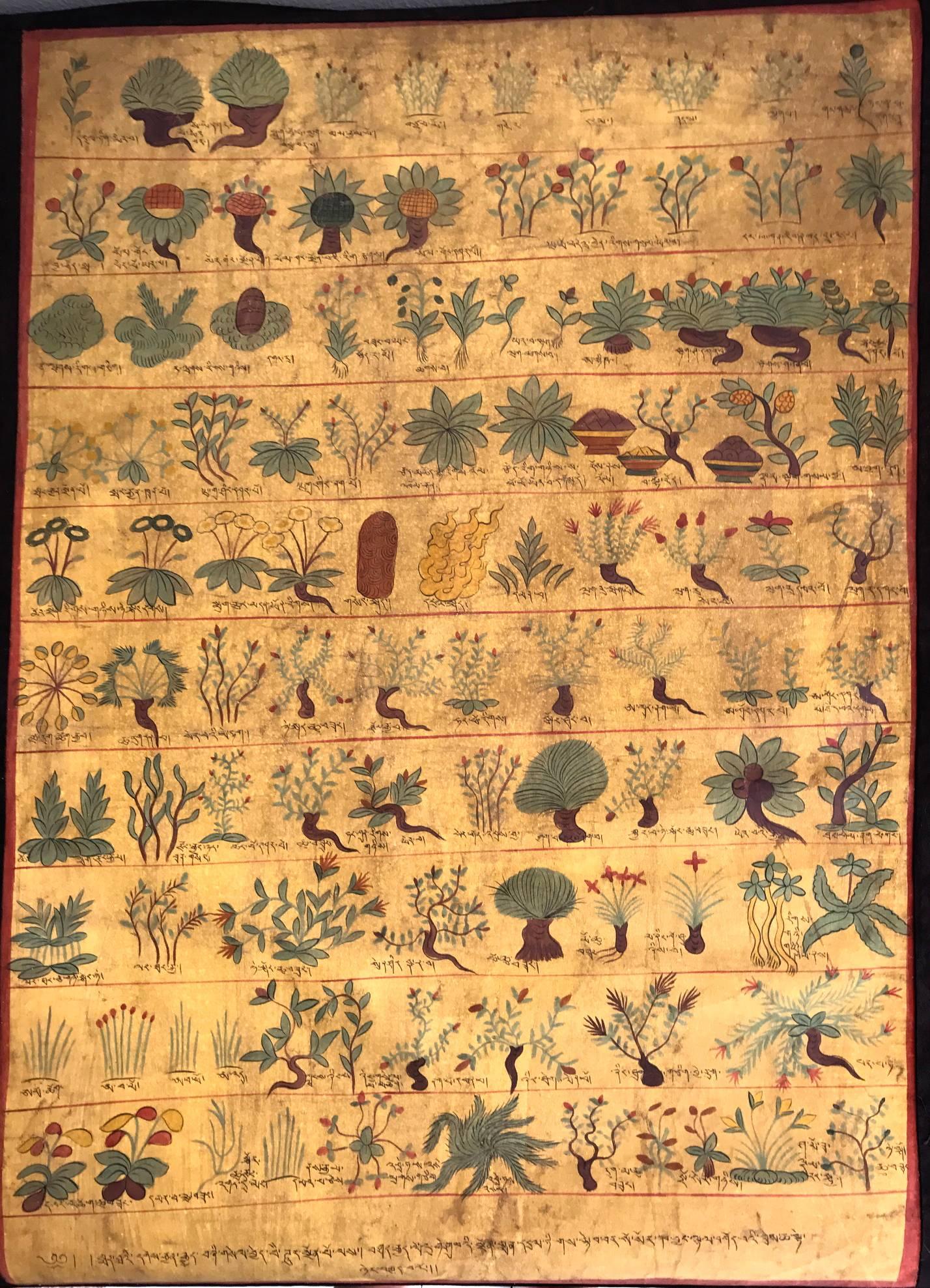Tibetan Medicinal Thangkas Copies after the Blue Beryl, circa 20th Century 5