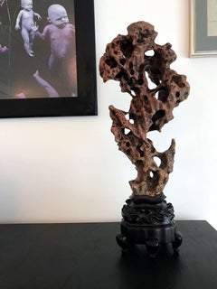 Exceptional Chinese Scholar Rock from Taihu on Stand