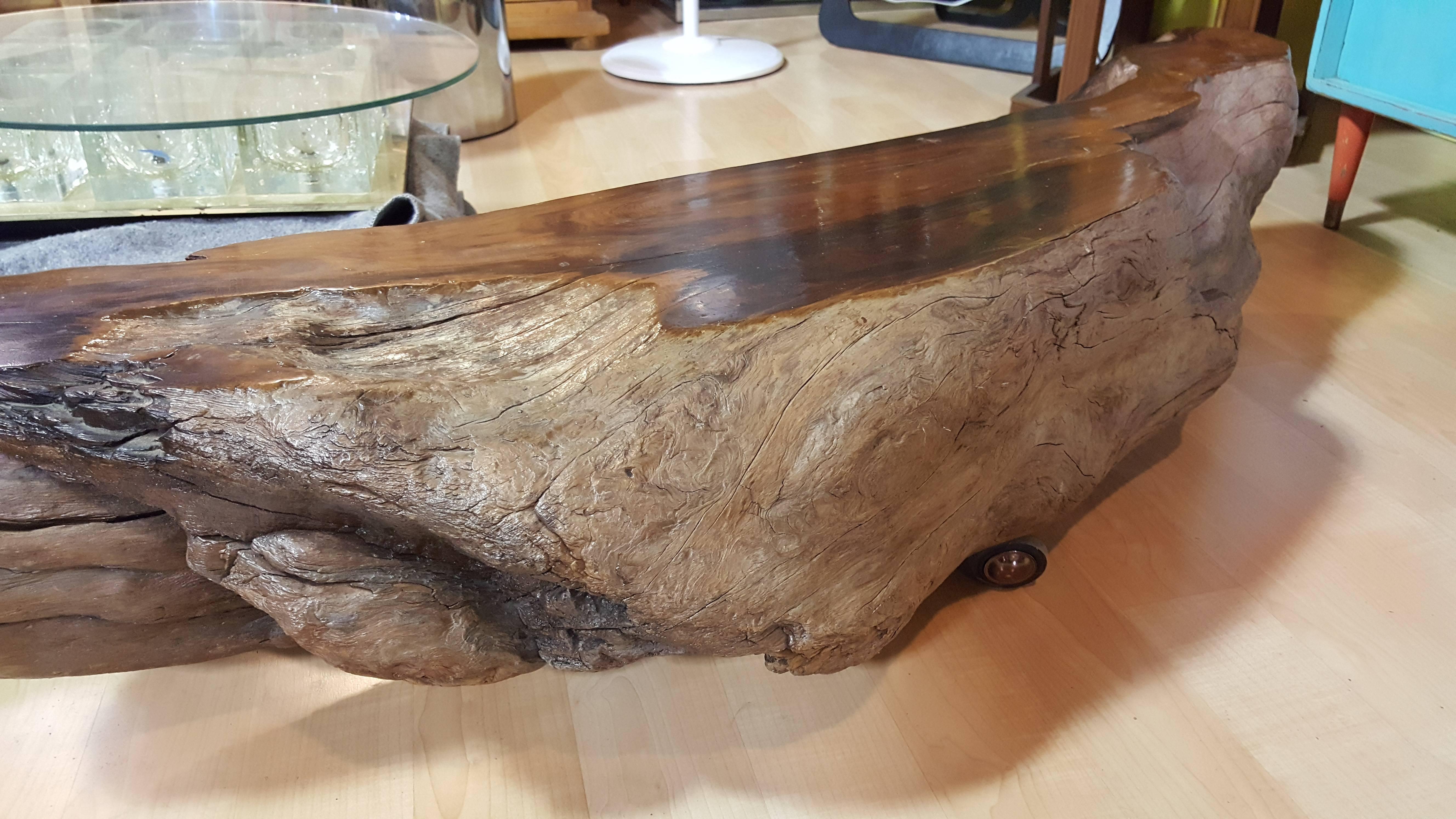 Late 20th Century Live Edge Driftwood Coffee and End Table