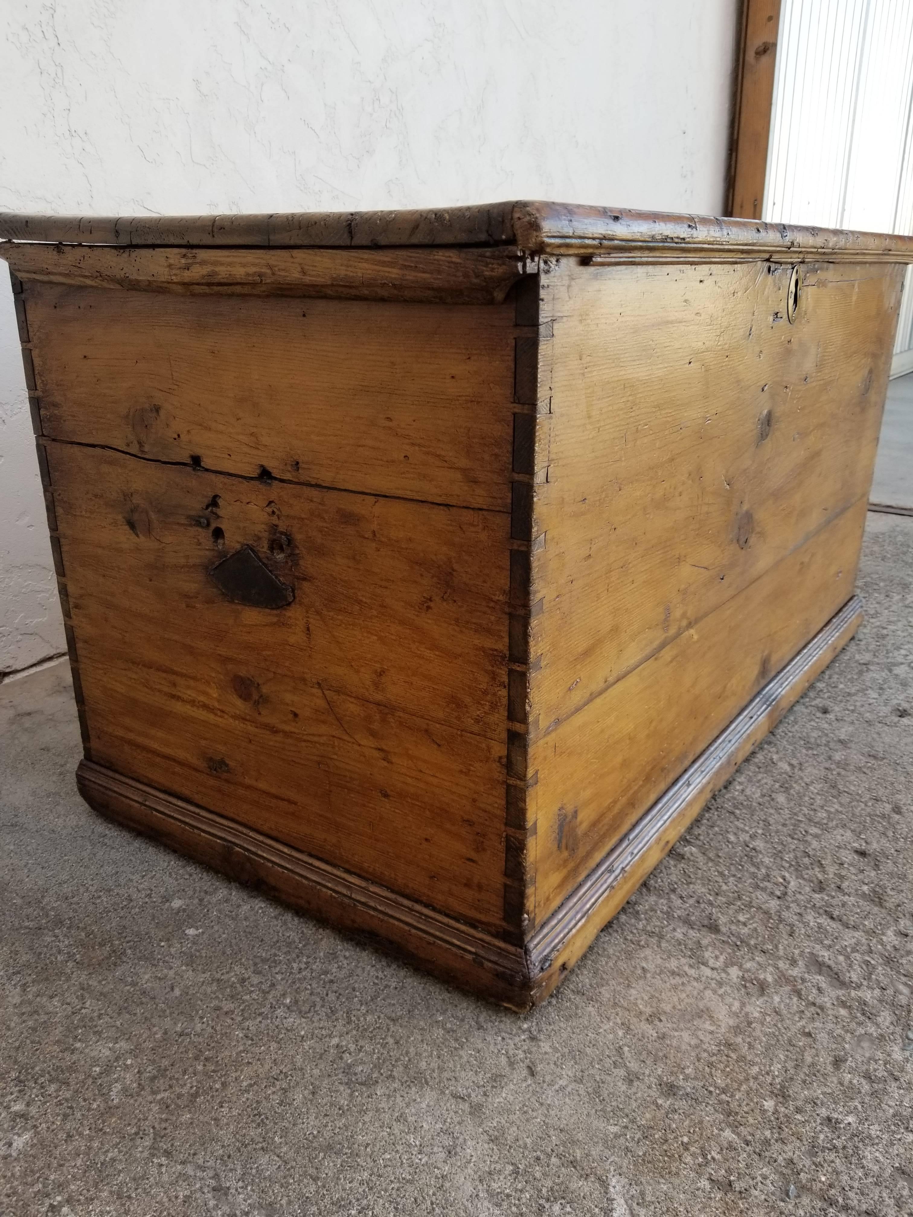 English 19th Century Pine Trunk