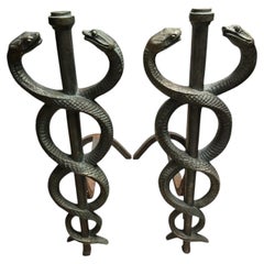 1930's Tall Bronze double snakes andirons