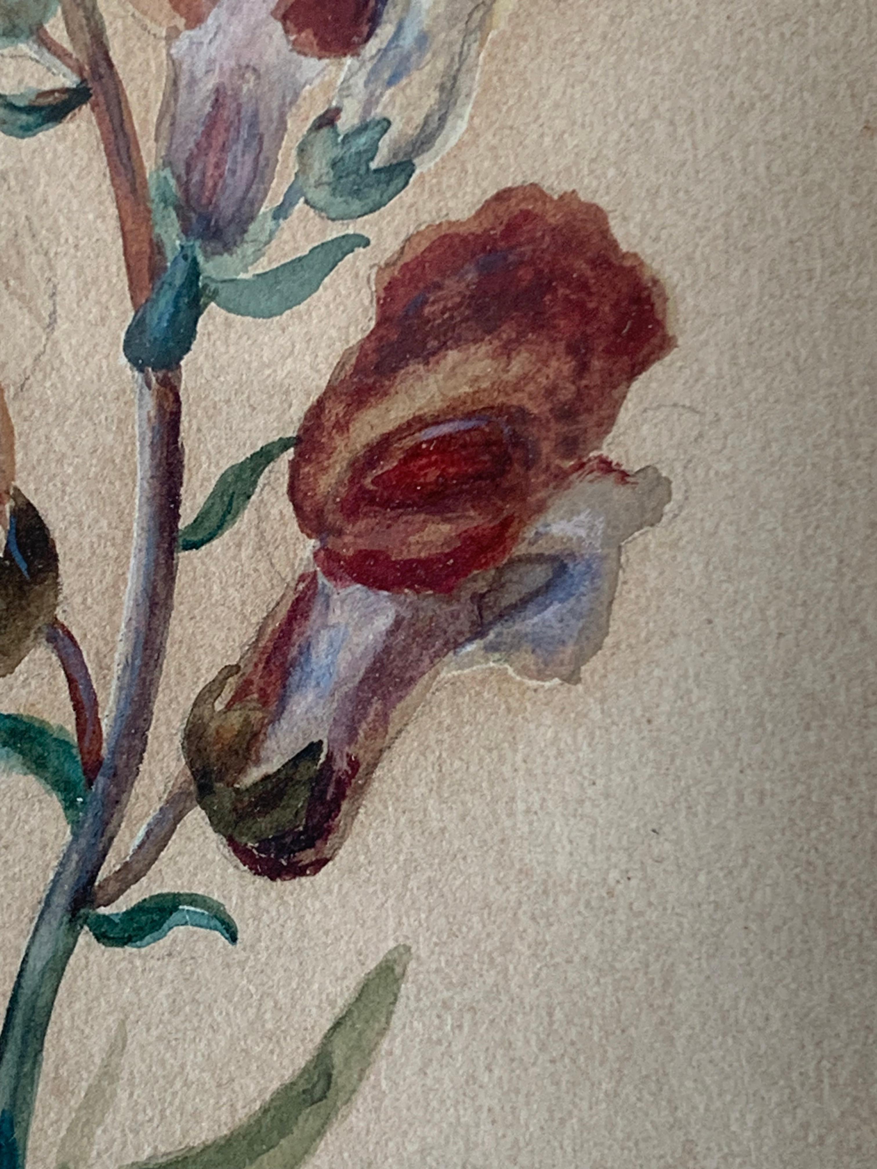 Antikes Original-Stillleben aus dem frühen 20. Jahrhundert, rot-weißes Blumenaquarell im Zustand „Gut“ im Angebot in Ebberup, DK