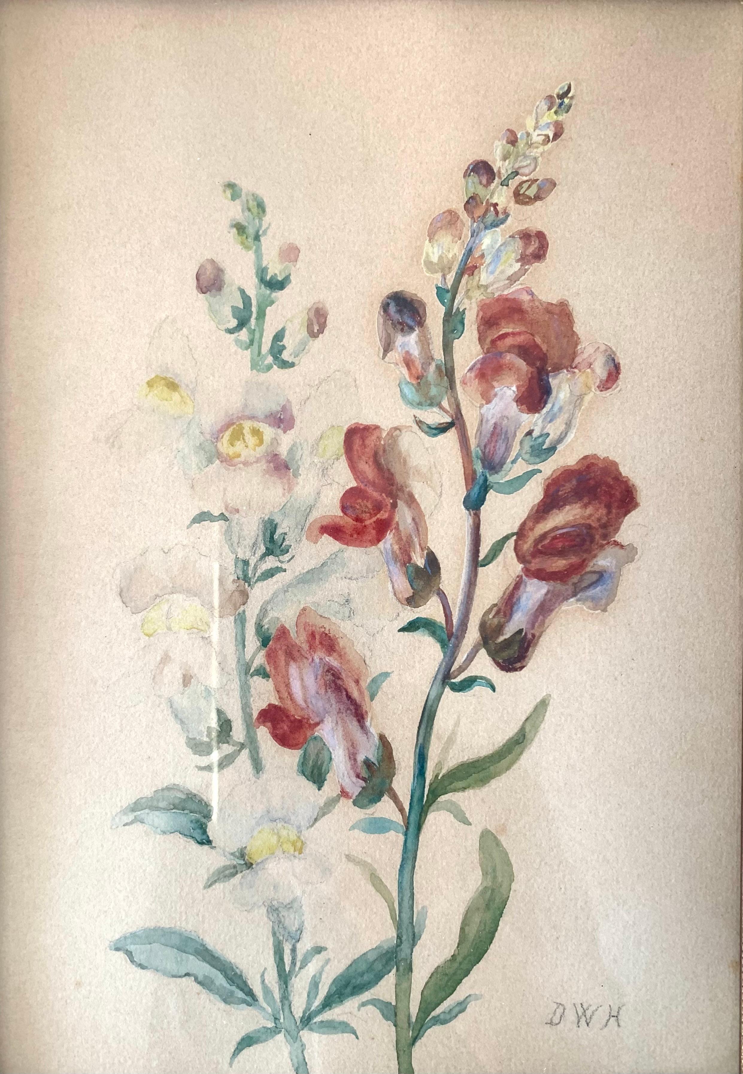 Dies ist ein stilvolles Original-Aquarell Blumenstillleben Zeichnung schätzungsweise aus den 1920er Jahren sein. 

Eine der Blumen ist in Rot- und Weißtönen mit grünen Blättern gemalt, die andere in Weiß- und Gelbtönen mit grünen Blättern. Die