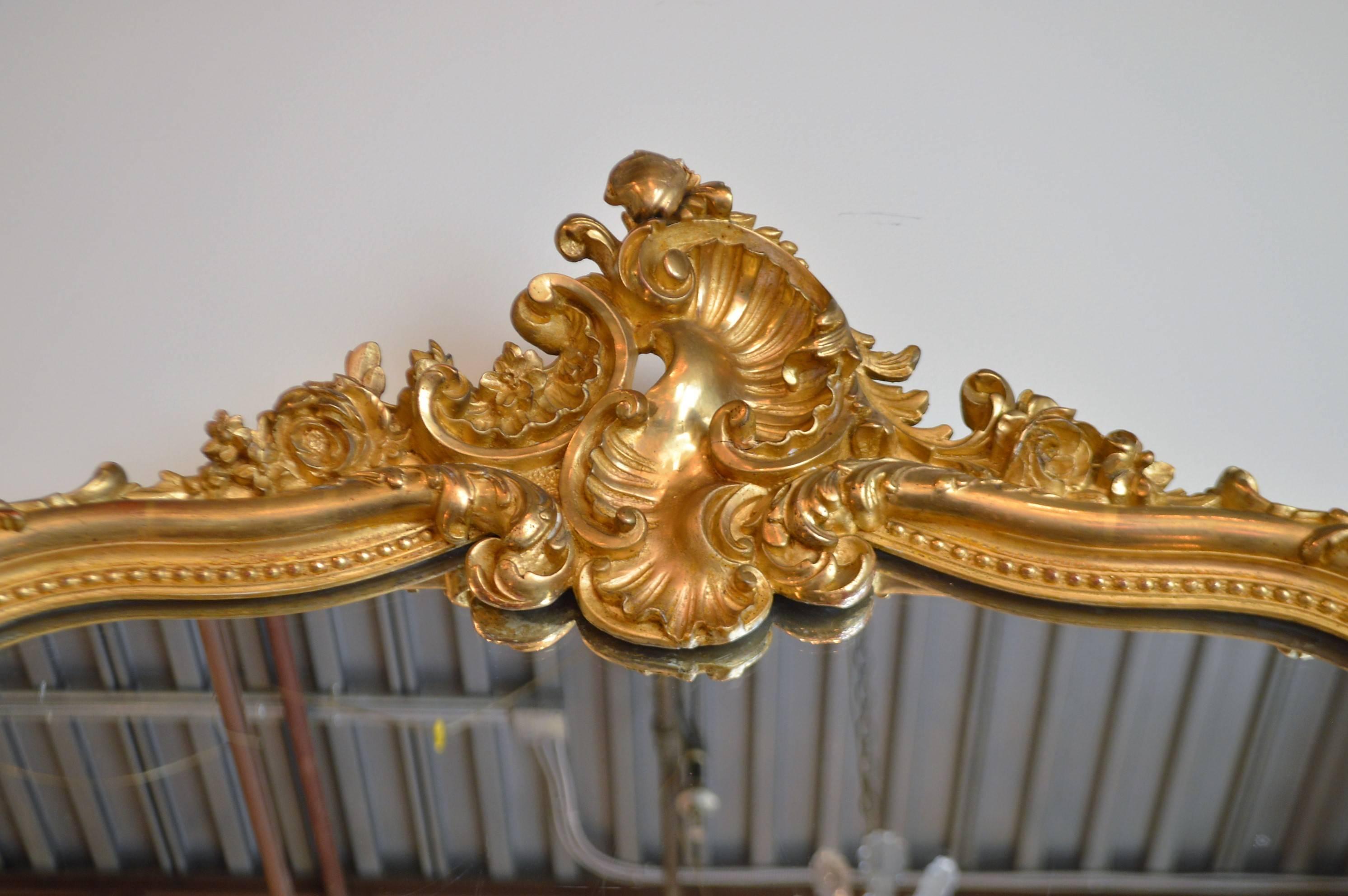 High quality Louis XV style gilded mirror, beautifully carved with the shell at the top and scroll of acanthus leaves on lower frame