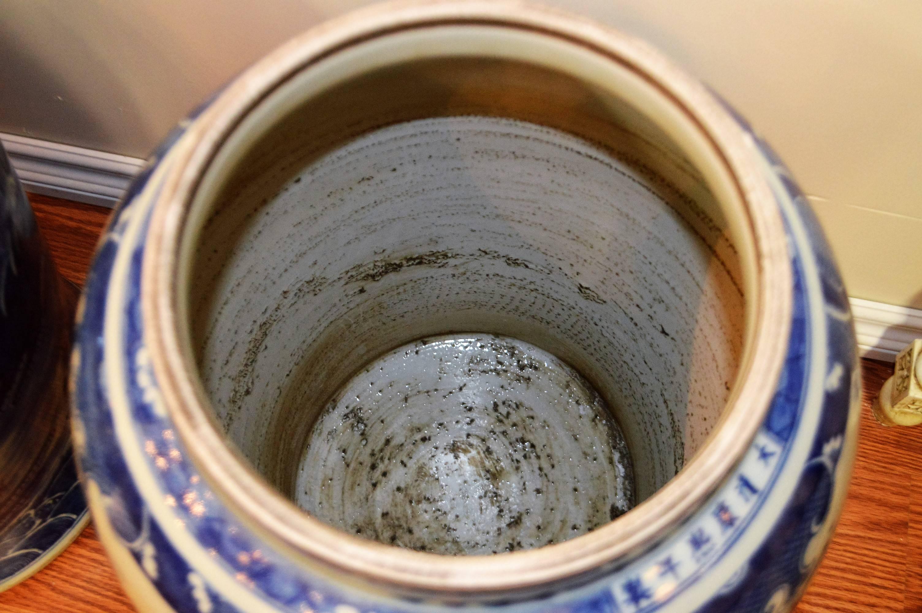 Asian Pair of Chinese Large Blue and White Porcelain Ginger Jars