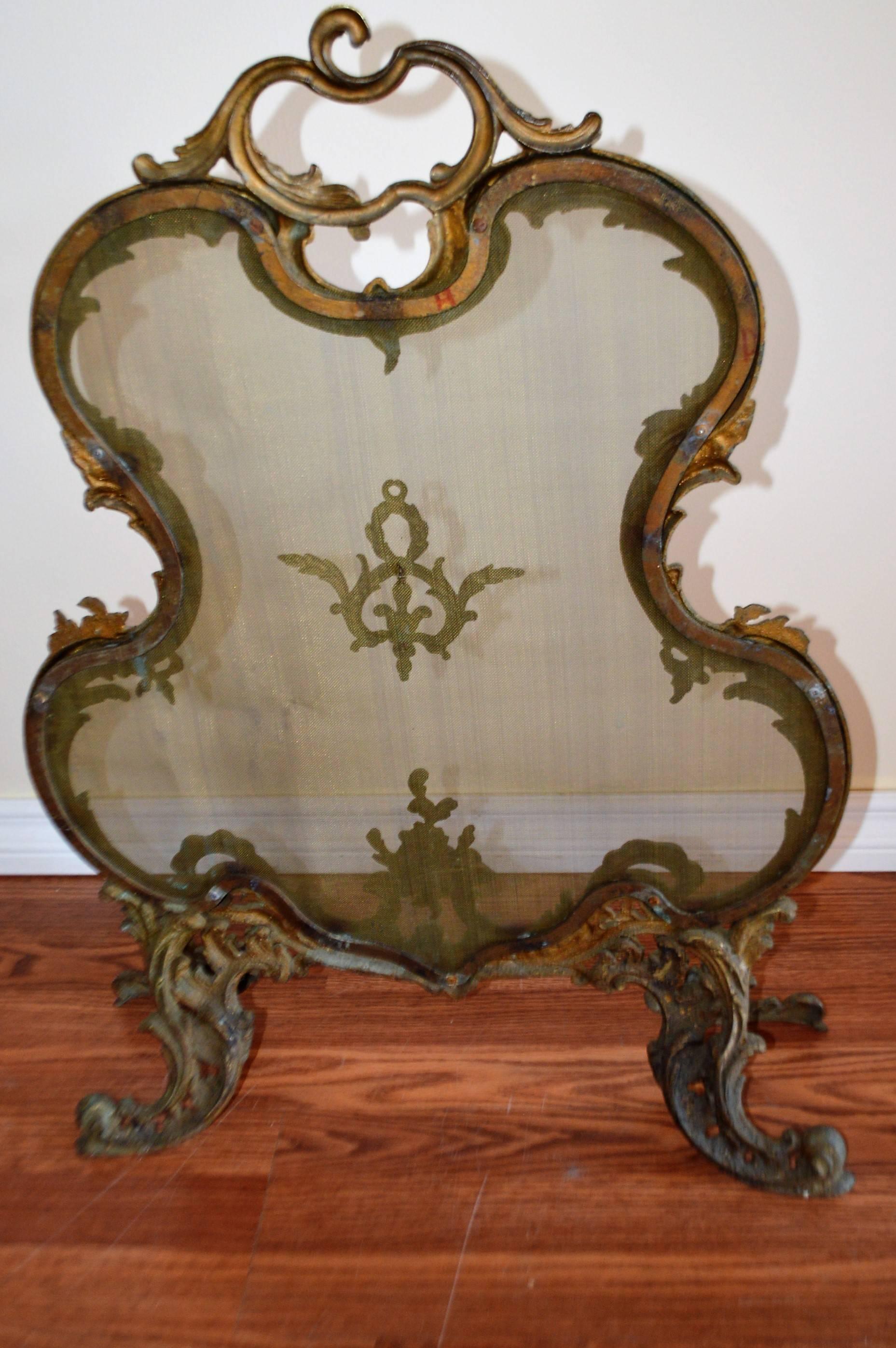 French Rococo Style Bronze and Mesh Fireplace Screen 2