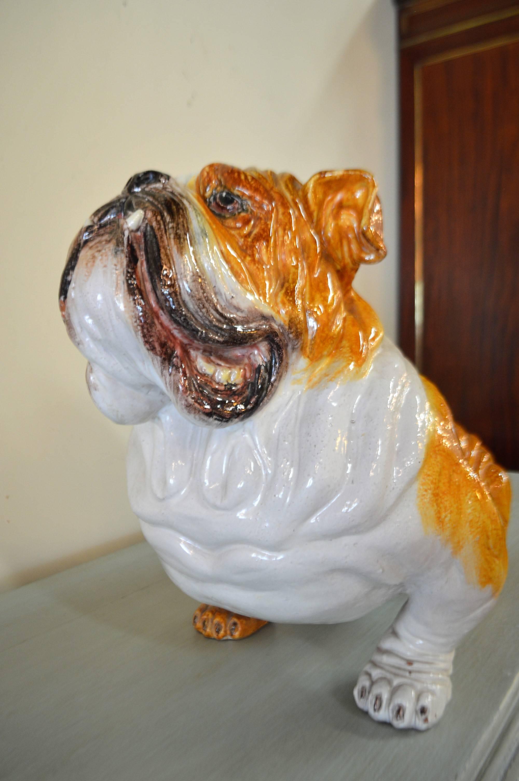 Fine details on the amusing lifesize bulldog, fairly heavy, made in terracotta and finished with a glazed ceramic. The facial expression is very good.