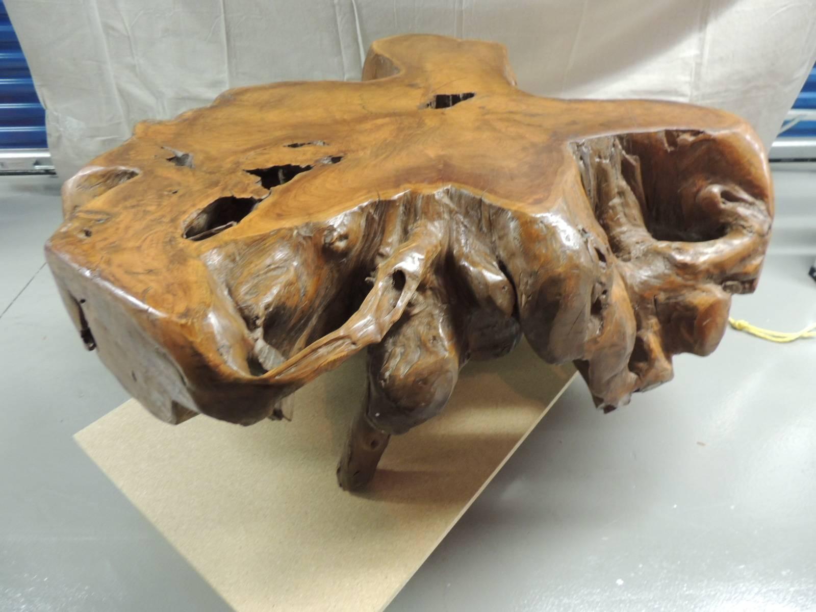Monumental teak root coffee table with an organic free-form top, harvest from sustainable teak wood harvesting in Indonesia. The teak root is carefully unearthed, instead of being left to rot underground to create this unique one-of-the-kind coffee