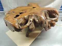 Monumental Teak Root Trunk Coffee Table