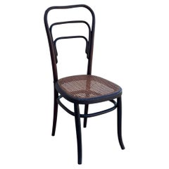Early Modernist Bent Oak & Cane Chair No. 144 by Thonet