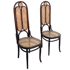 Sedia da sala con schienale alto in rovere curvato e vimini, modello “Secessione viennese” n. 16 di Thonet, coppia