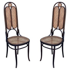 Sedia da sala con schienale alto in rovere curvato e vimini, modello “Secessione viennese” n. 16 di Thonet, coppia