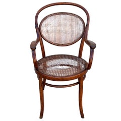 Late Victorian Bent Oak & Cane Nr. 8256 Armchair by DLG Thonet