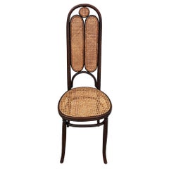 Vienna Secession Bent Oak & Cane High Back Side Chair No. 16 by Thonet