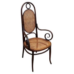 Vienna Secession Bent Oak & Cane High Back Armhair No. 17 by Thonet