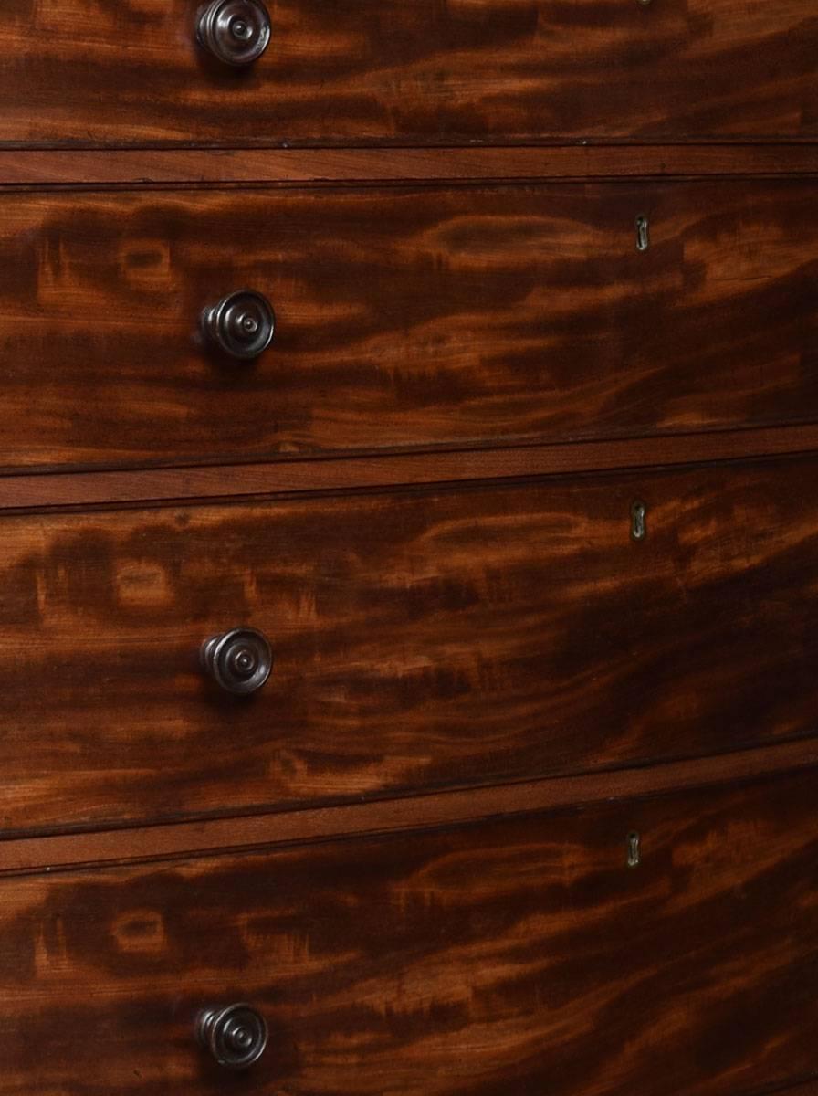Regency Mahogany Bow Front Chest of Draws In Excellent Condition In Cheshire, GB