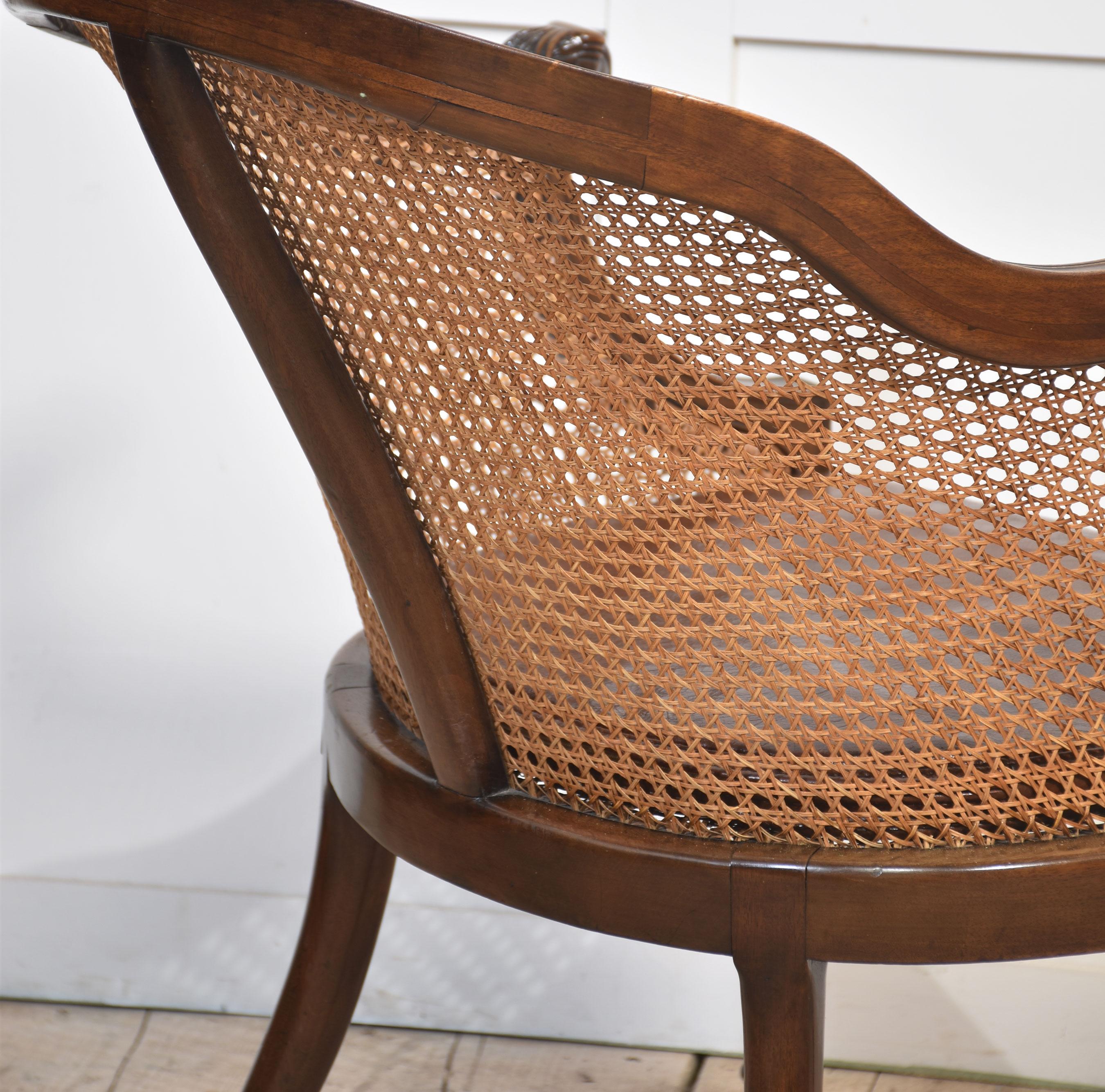 Mahagoni gerahmter bergere Wannen-Sessel im Angebot 3