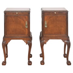 Coppia di comodini in mogano in stile Chippendale
