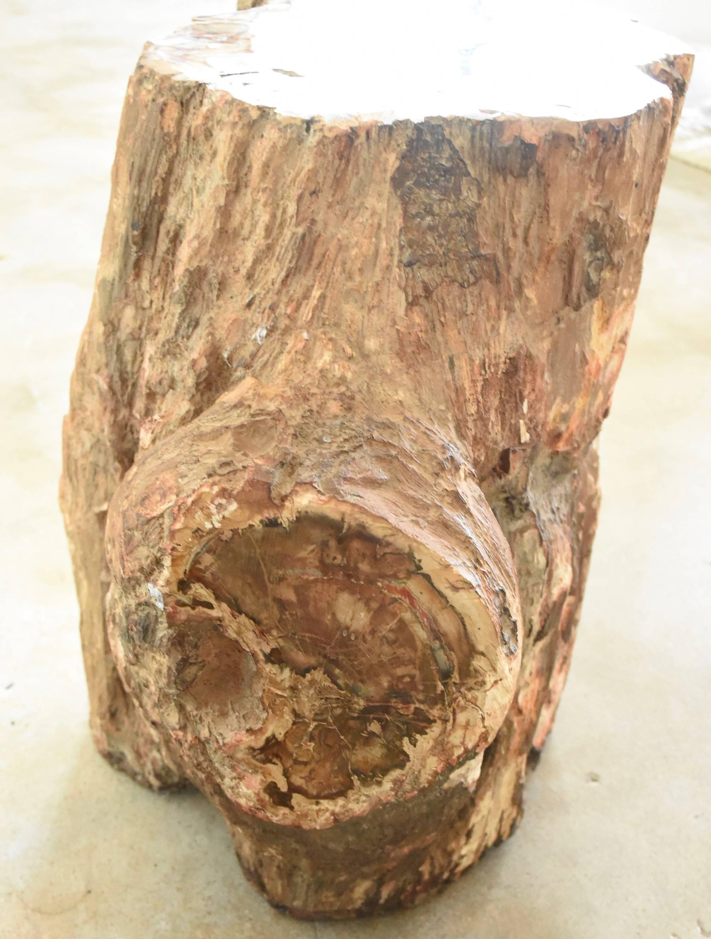 giant tree stump madagascar
