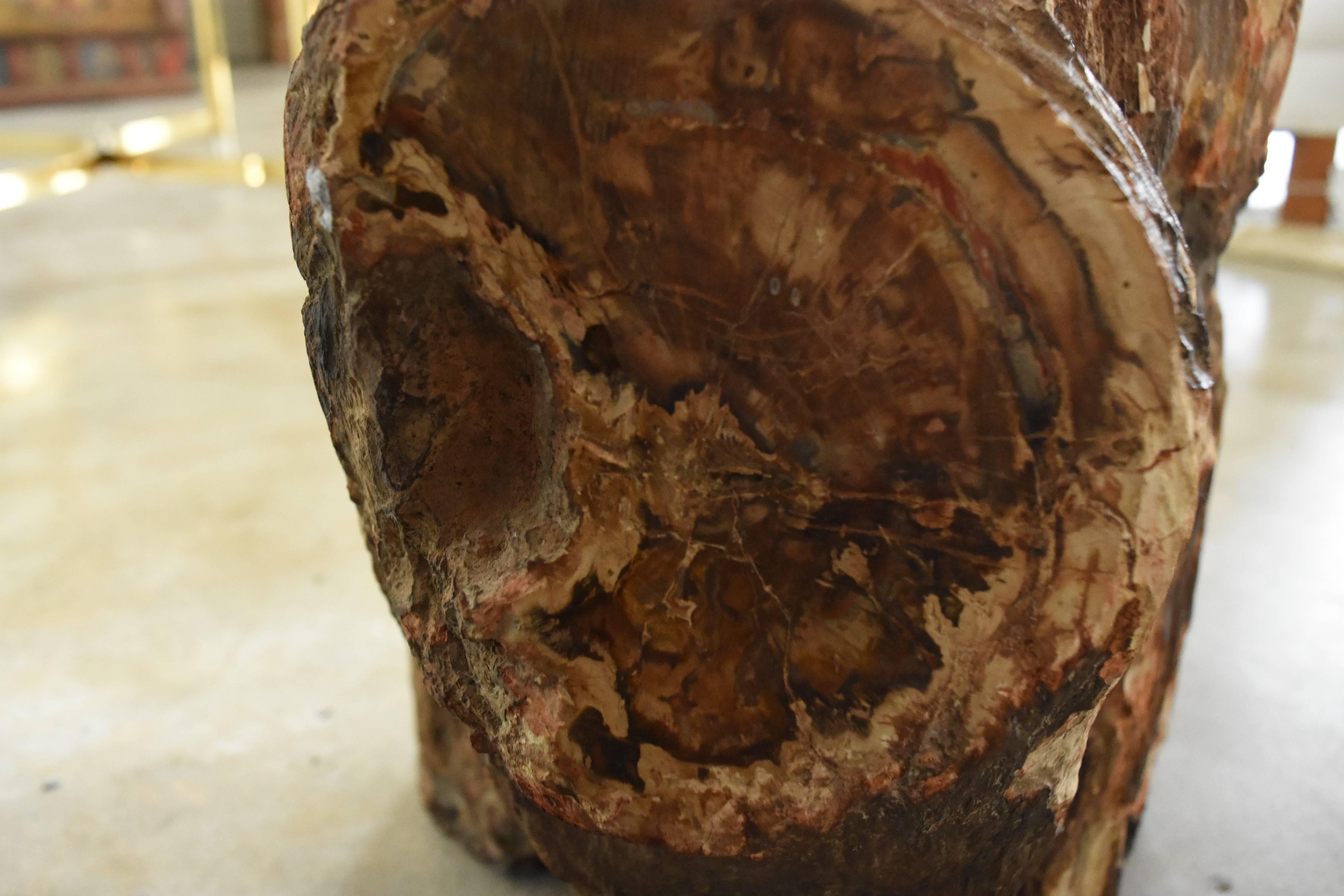 petrified wood stump for sale