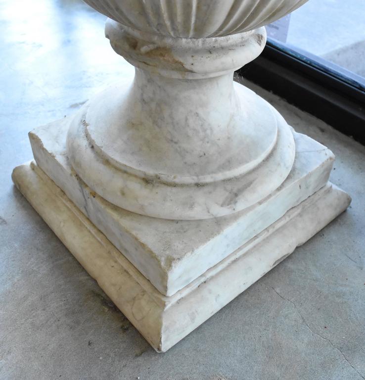 Italian 19th Century Carrara Marble Urns For Sale at 1stDibs