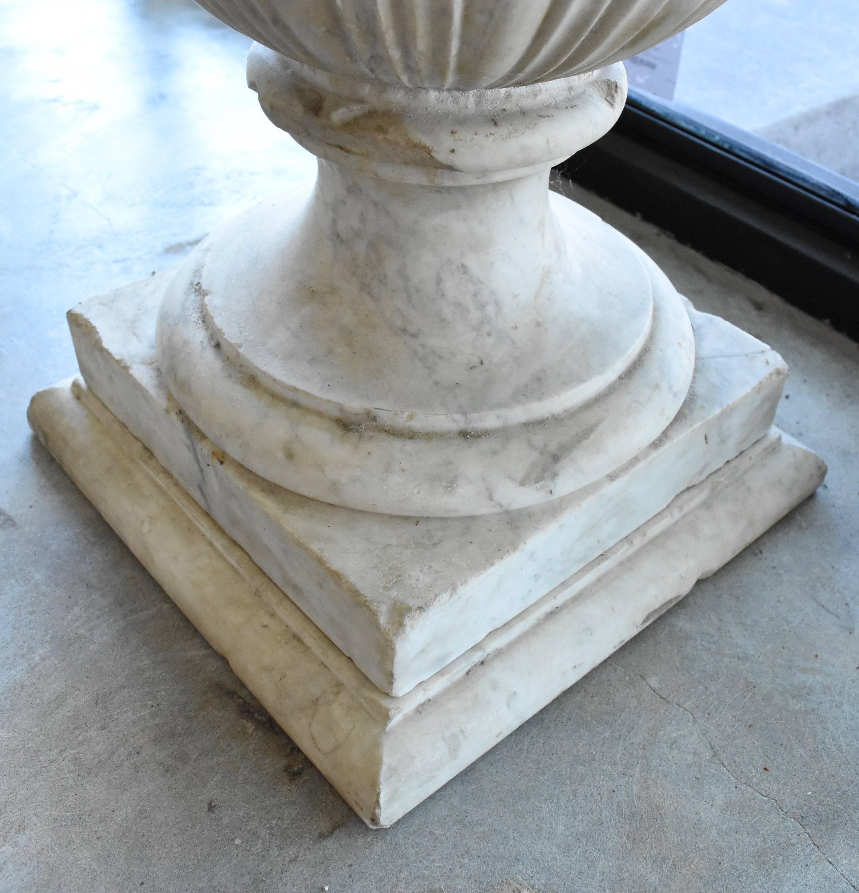 Italian 19th Century Carrara Marble Urns 3