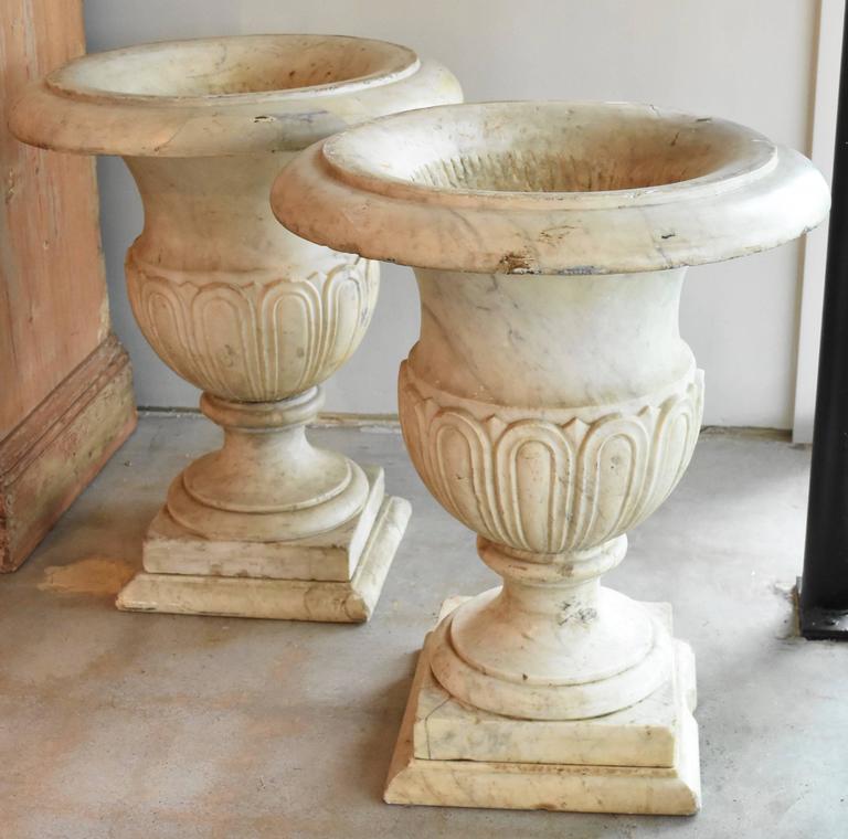 Italian 19th Century Carrara Marble Urns For Sale at 1stDibs