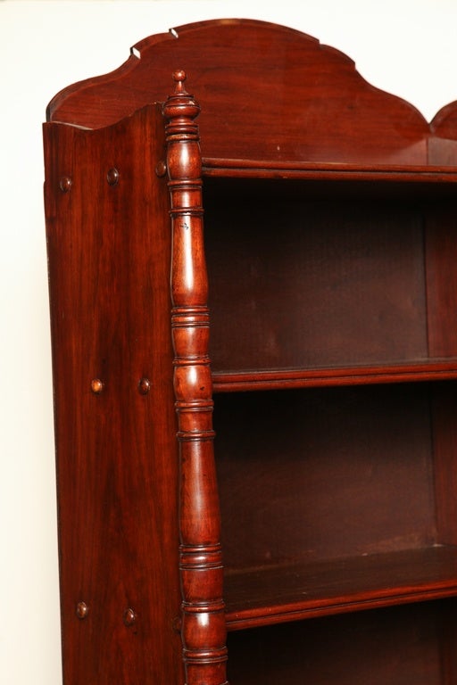 Mid19th Century Irish, Mahogany Bookcase at 1stDibs
