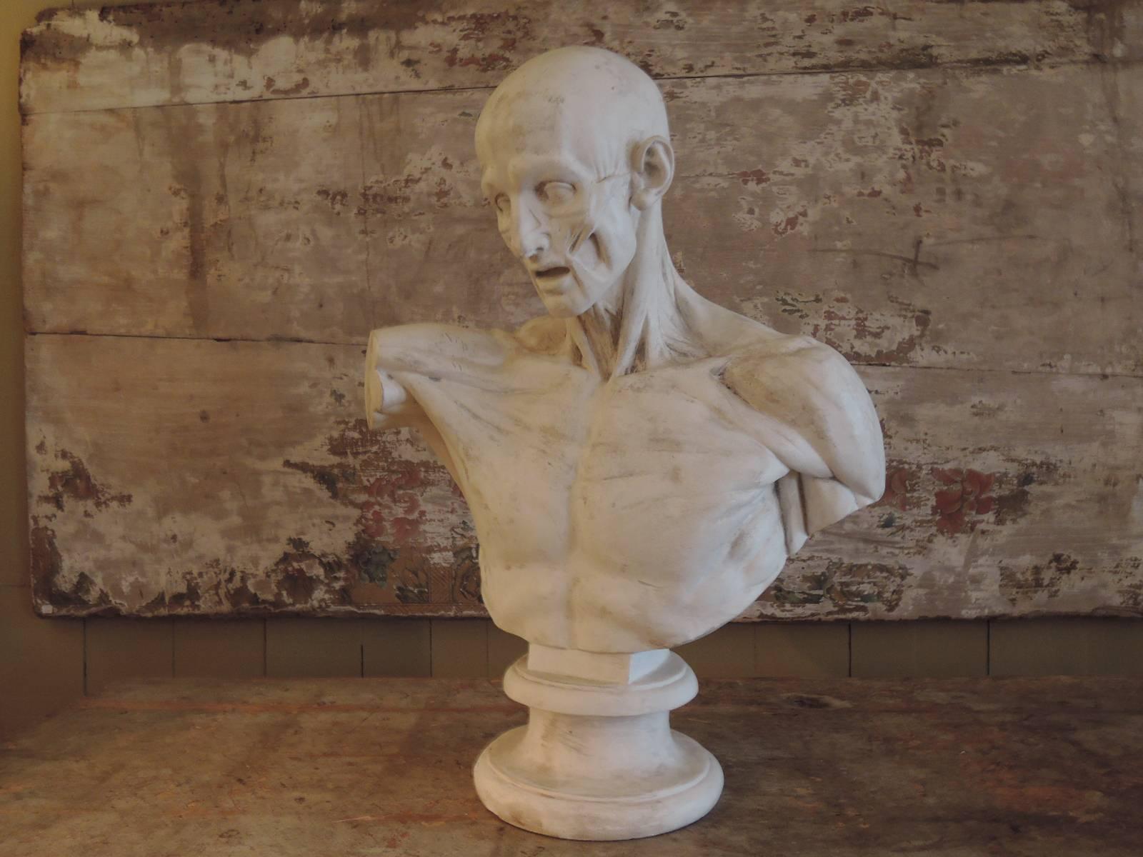 Academy Study of a Flayed Bust in Plaster French, circa 1900 In Good Condition In Paris, FR