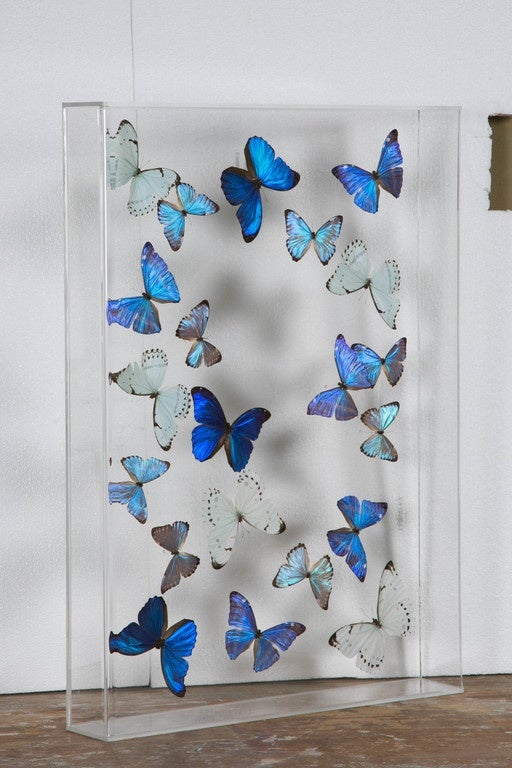Flight of Morphos Butterflies in Lucite Case by Atelier L for Stéphane Olivier 1