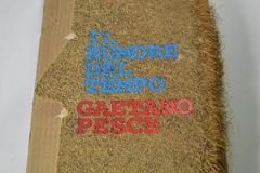 "Il Rumore Del Tempo" Book of Gaetano Pesce