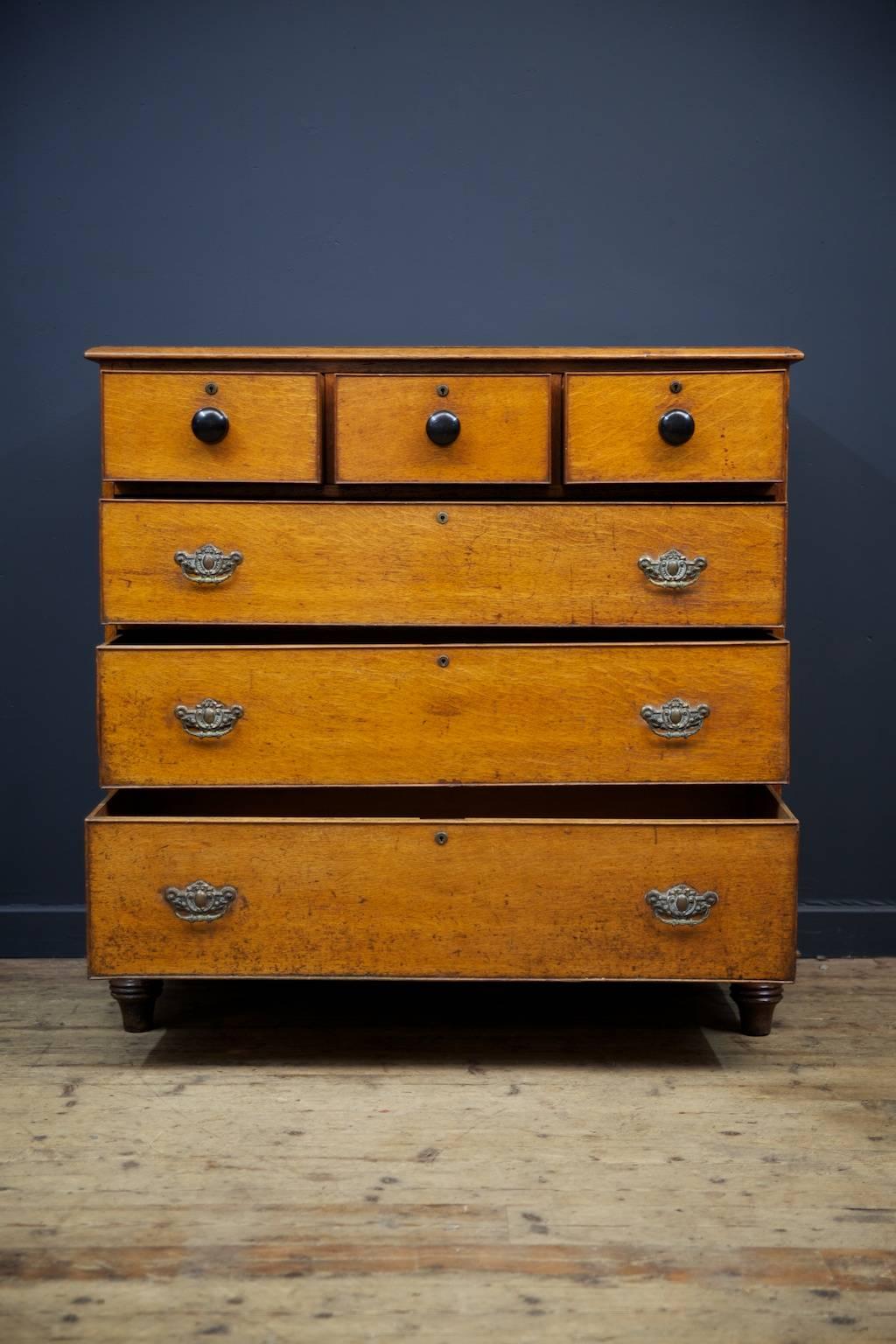 Gentleman's Chest of Drawers In Excellent Condition In Llandudno, Conwy