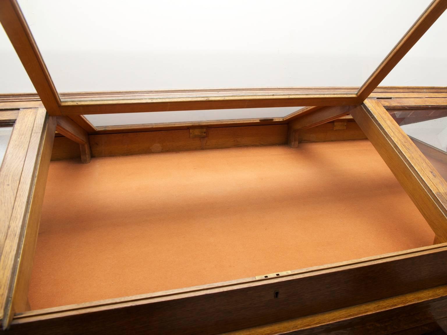Victorian Museum Display Case For Sale
