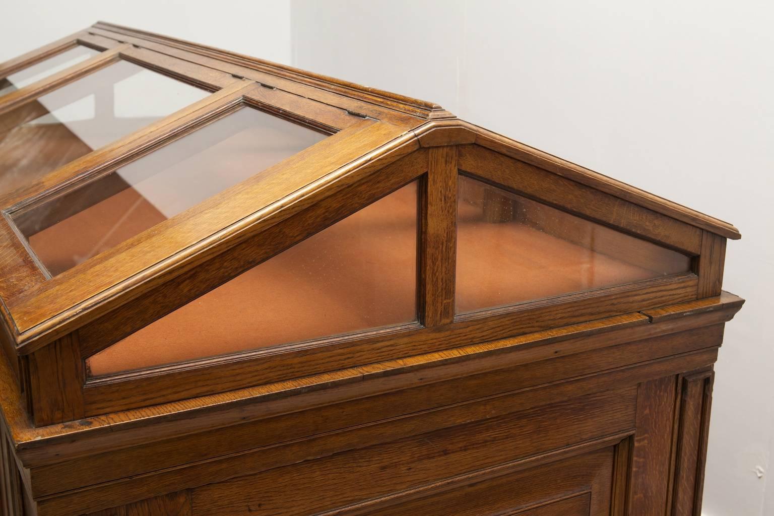 British Museum Display Case For Sale