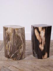 Petrified Tree Stump Stools